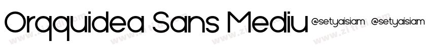 Orqquidea Sans Mediu字体转换